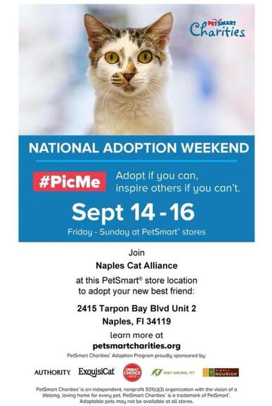 Adoption Center Petsmart Adopt Love Discount Petsmart Alliance