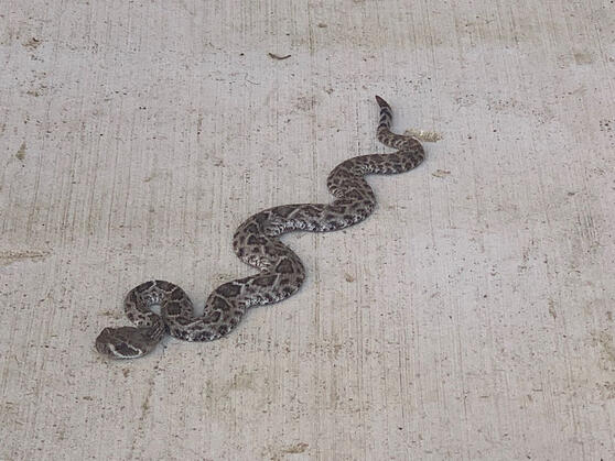 129486a1003a7c6733b9ffab7dd4b672.jpeg.ma