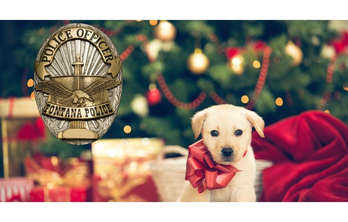 craigslist inland empire dogs