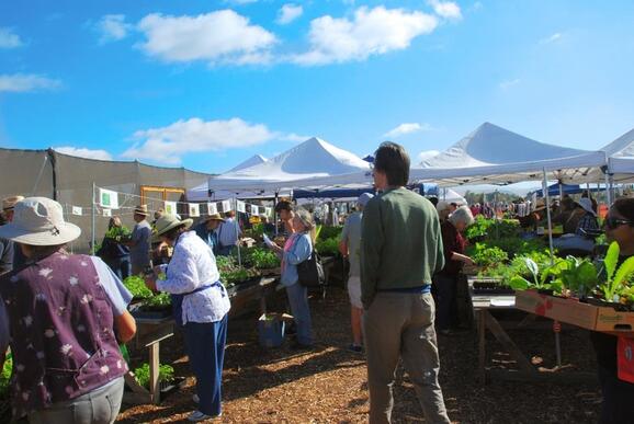 Oct 5 Fall Garden Market Fyi From Ucce Master Gardeners Of