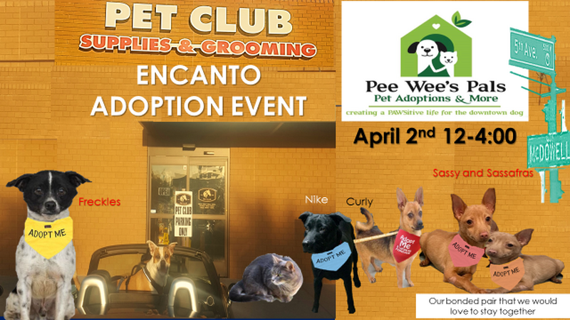 pee wee's pals adopt a pet