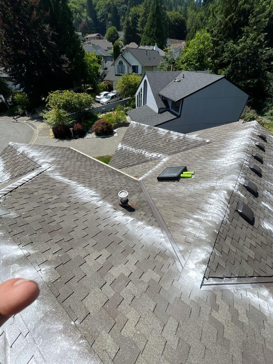 Affordable Roof Moss Removal Company - Removal in Muskegon County, Michigan