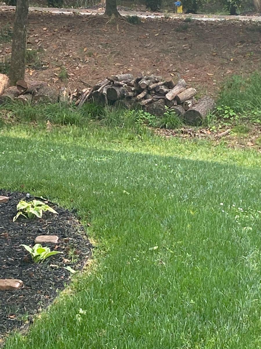 firehouse casual living store on 10 Joy Mangano Closet Organizer For Sale Free Nextdoor