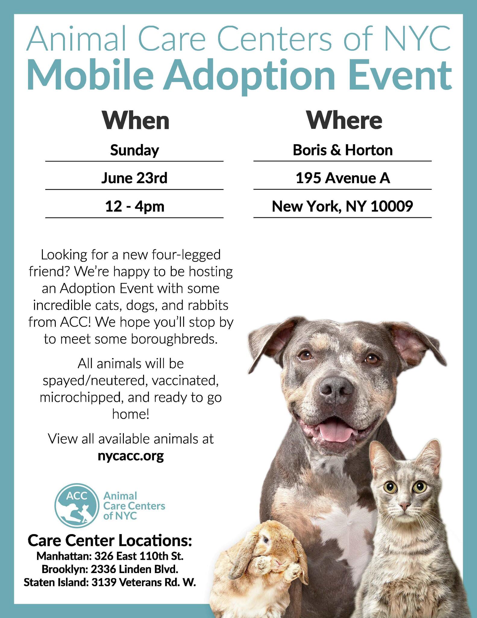 2336 linden blvd animal shelter