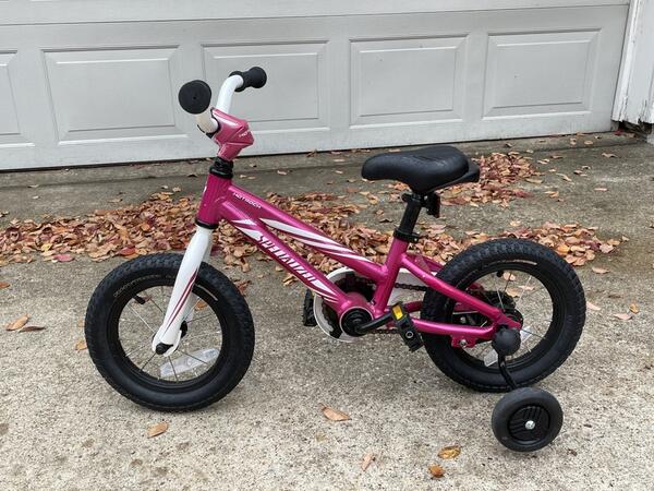 specialized training wheels