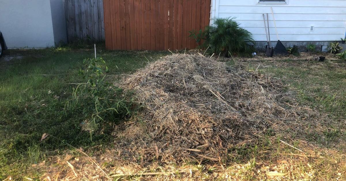 Free · FREE BAMBOO MULCH — Nextdoor