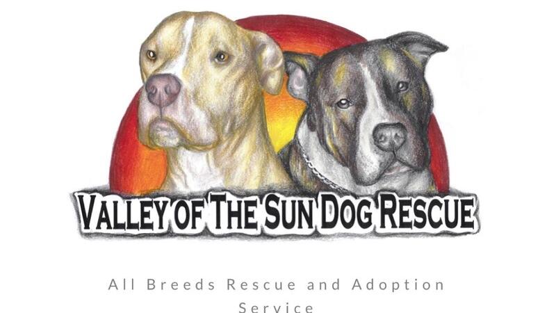 valley of the sun dog rescue valley of the sun dog rescue