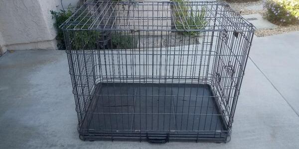 lowes mount kennels