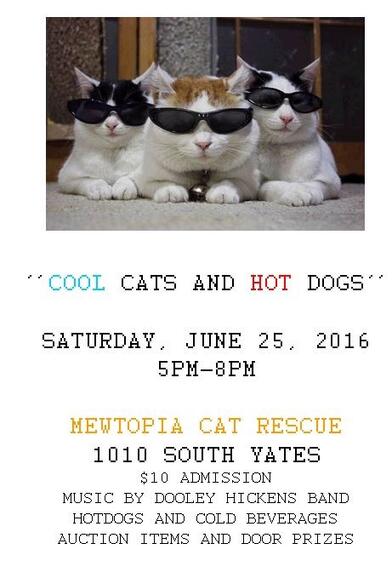 Jun 25 Cool Cats Hot Dogs Nextdoor