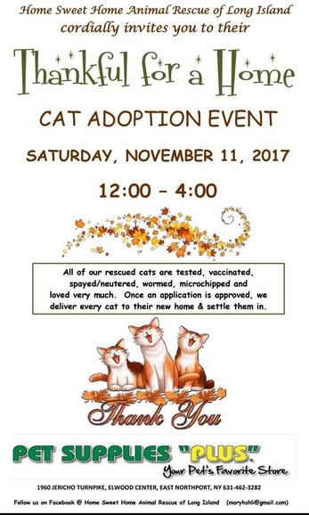 home sweet home pet rescue