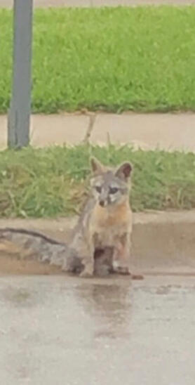 32e03aedac4734f1431fe601141a33e1.jpeg.ma