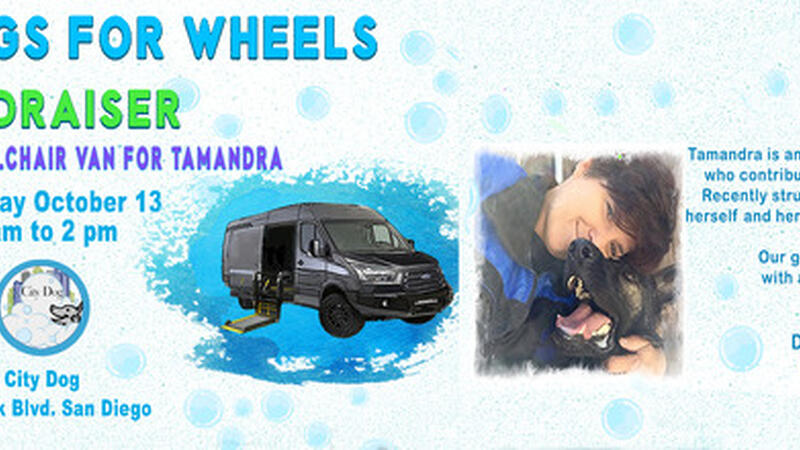 dog wash on wheels
