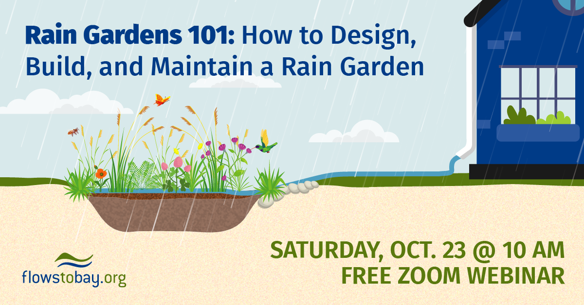 Rain Gardens 101: How to Design, Build, and Maintain A Rain Garden ...