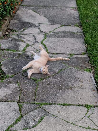 Attachment with no description