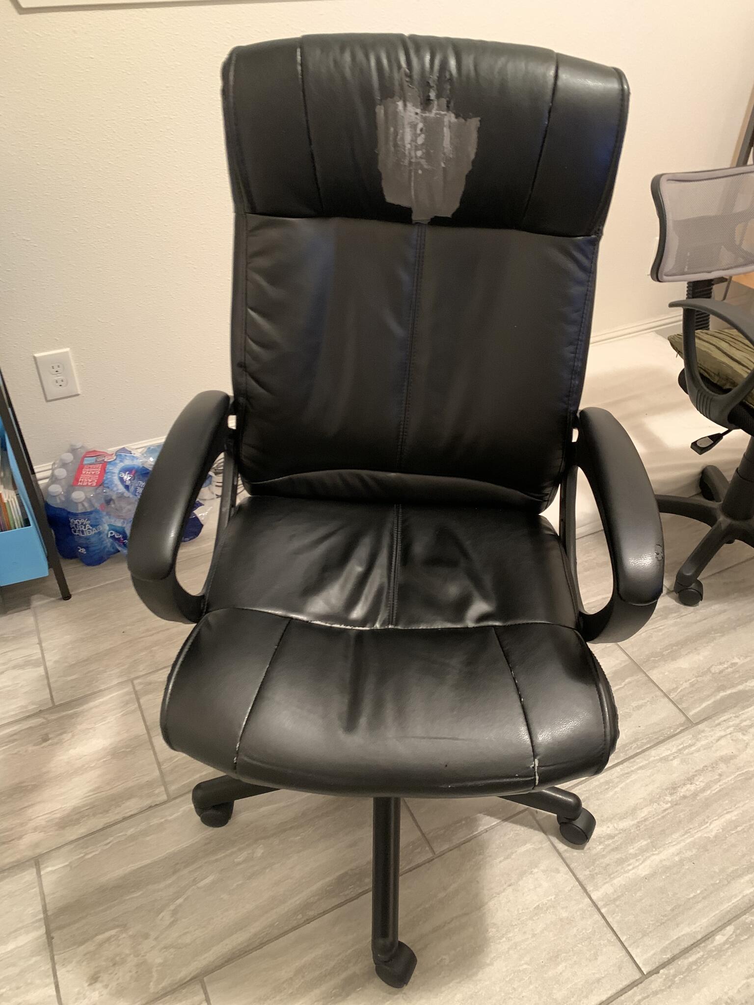Turcotte Office Chair