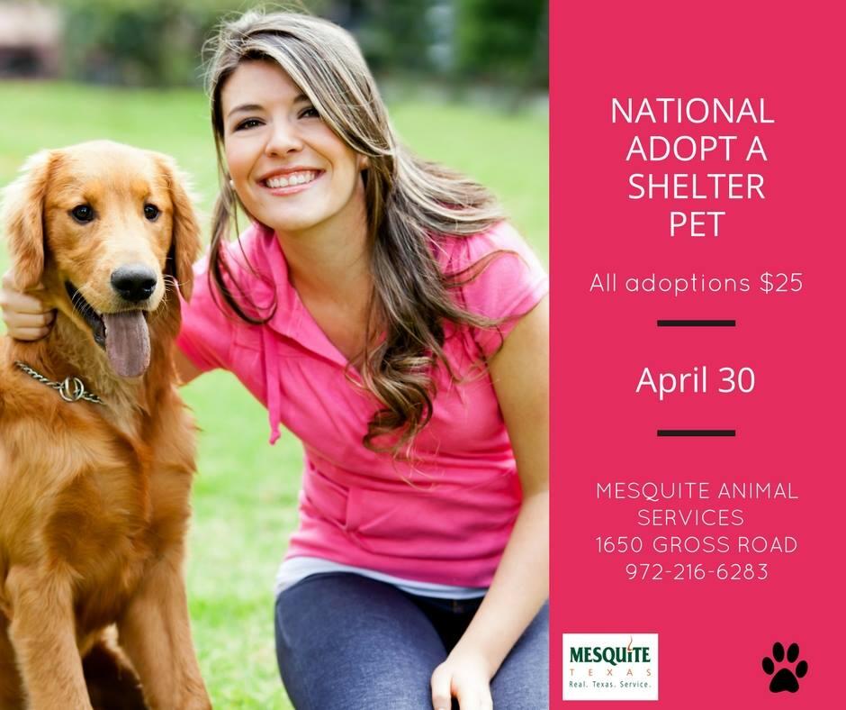 Animal Services Offers Adoption Special For National Adopt A Shelter Day City Of Mesquite Mdash Nextdoor Nextdoor