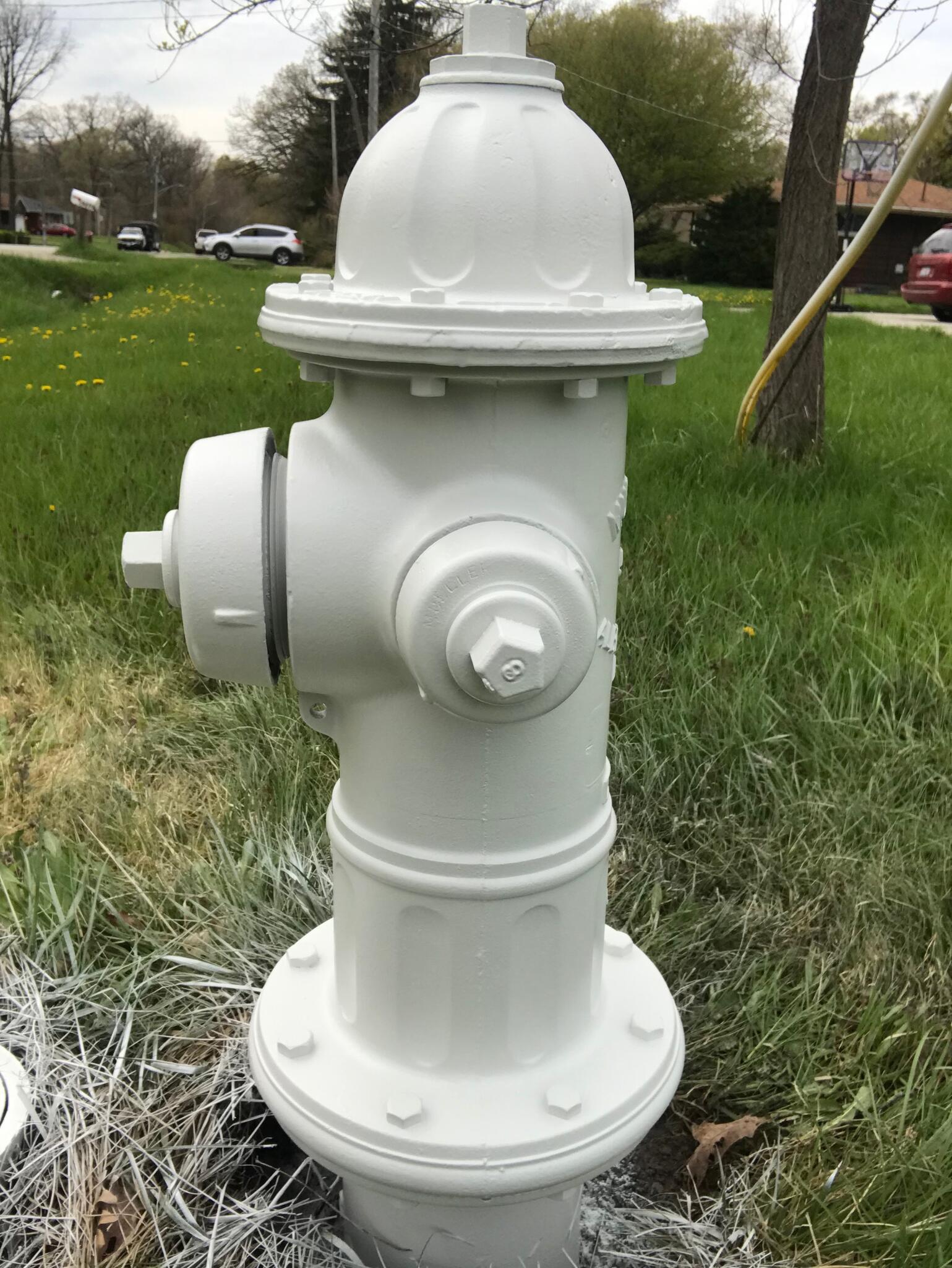 Why are fire hydrants being painted white? (Village of Beach Park