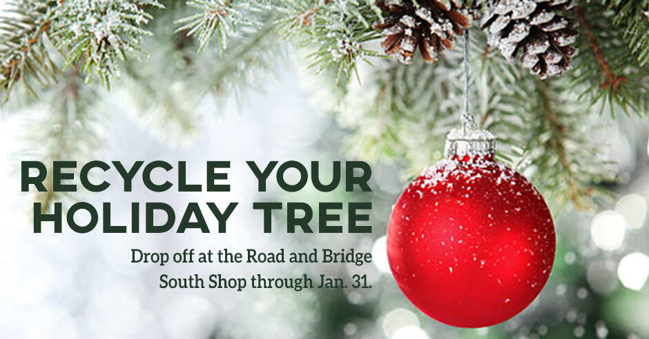 Christmas Tree Disposal Jeffco Co 2022 Recycle Your Holiday Tree At The Jeffco Road And Bridge South Shop  (Jefferson County) &Mdash; Nextdoor — Nextdoor
