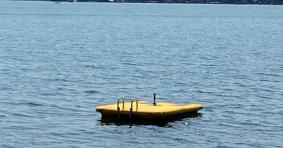 Pelican Raft What Is An Otter Island Raft? , What Is a Group of Otters Called? – LMKTZU