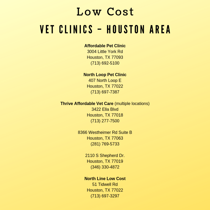 economy pet clinic prices