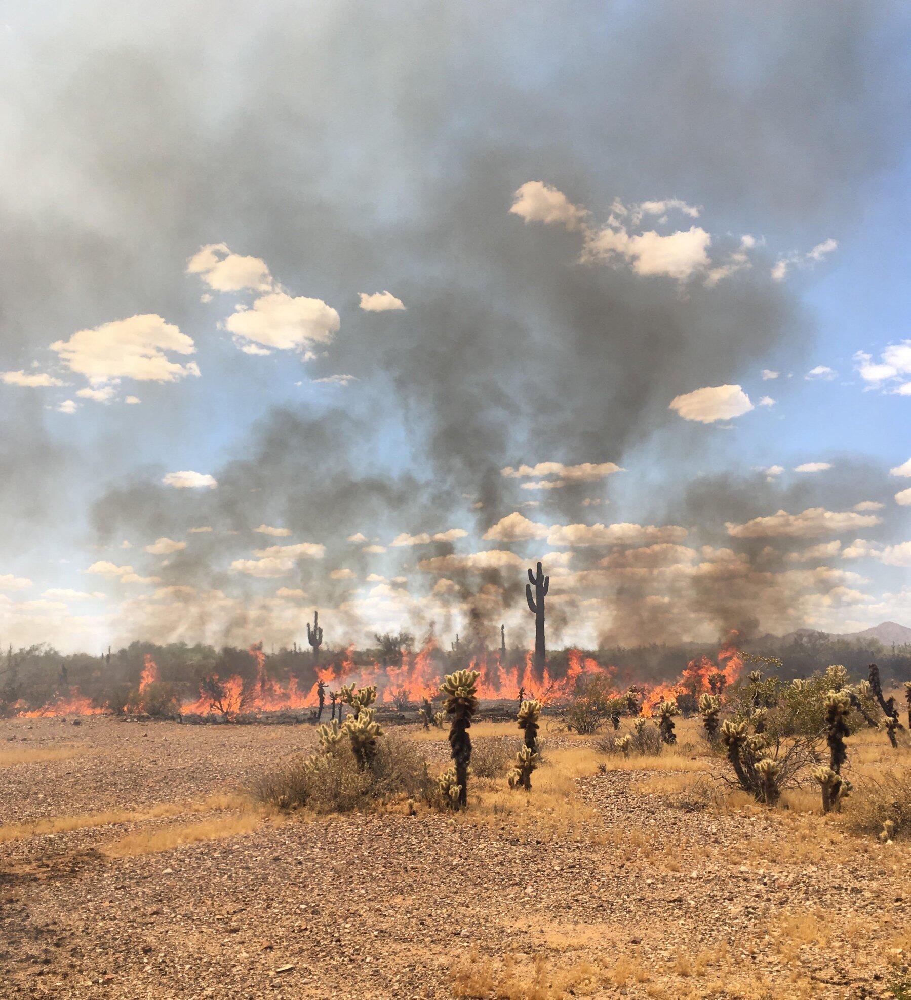 Wildfire Risk in Maricopa County (Maricopa County Department of