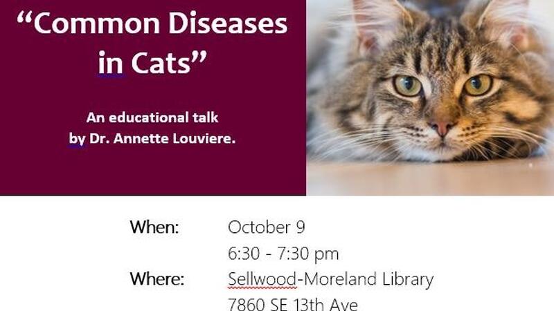 cat hospital sellwood