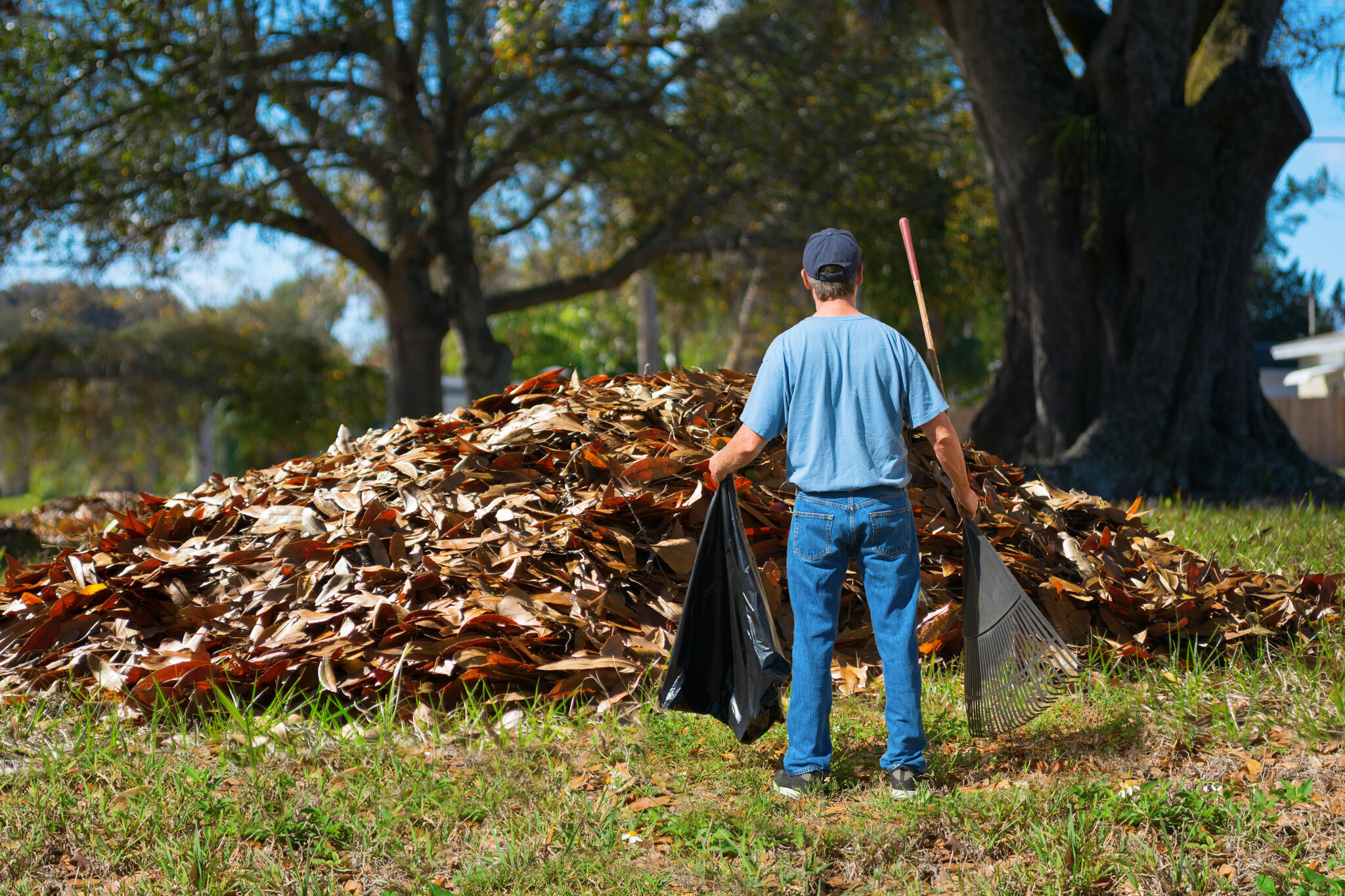 What to do with your extra yard waste (City of Lakeway) — Nextdoor