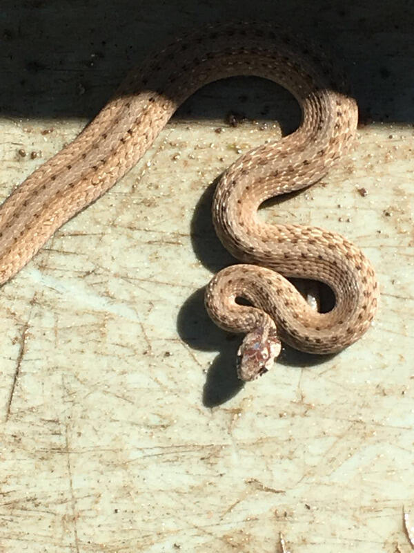 63549cb48e9594ade5ed0b2eb5ff9fe9.jpeg.ma