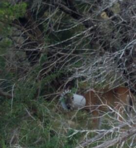 Attachment with no description