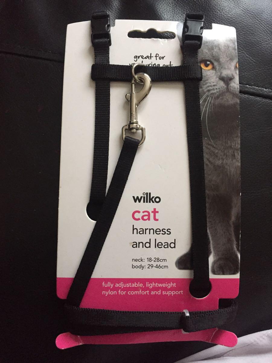 cat harness wilko