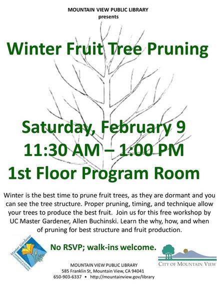 Feb 9 Winter Fruit Tree Pruning With The Master Gardeners Of
