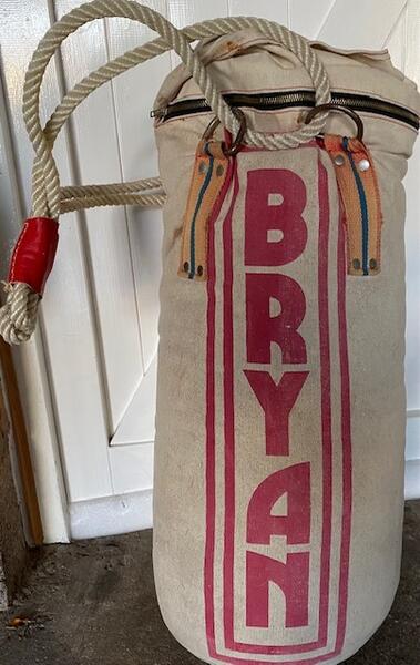 bryan punch bag