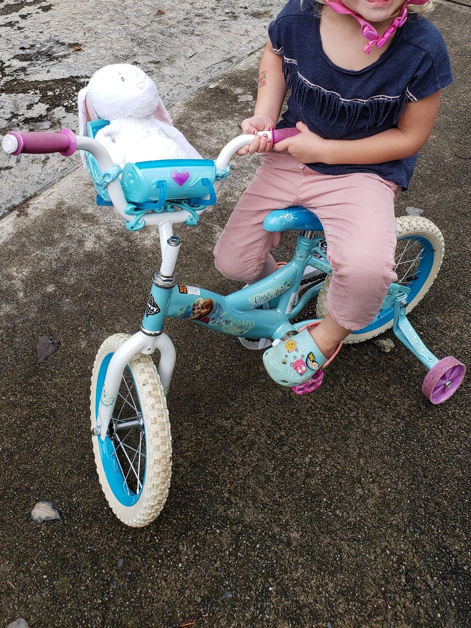 frozen bike with training wheels