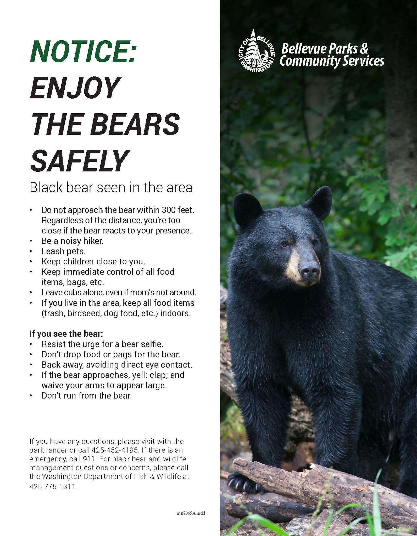 Black bear  Washington Department of Fish & Wildlife