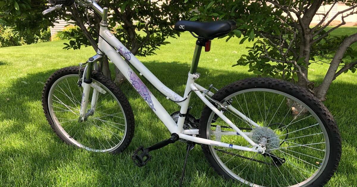 dbx resonance bike 24