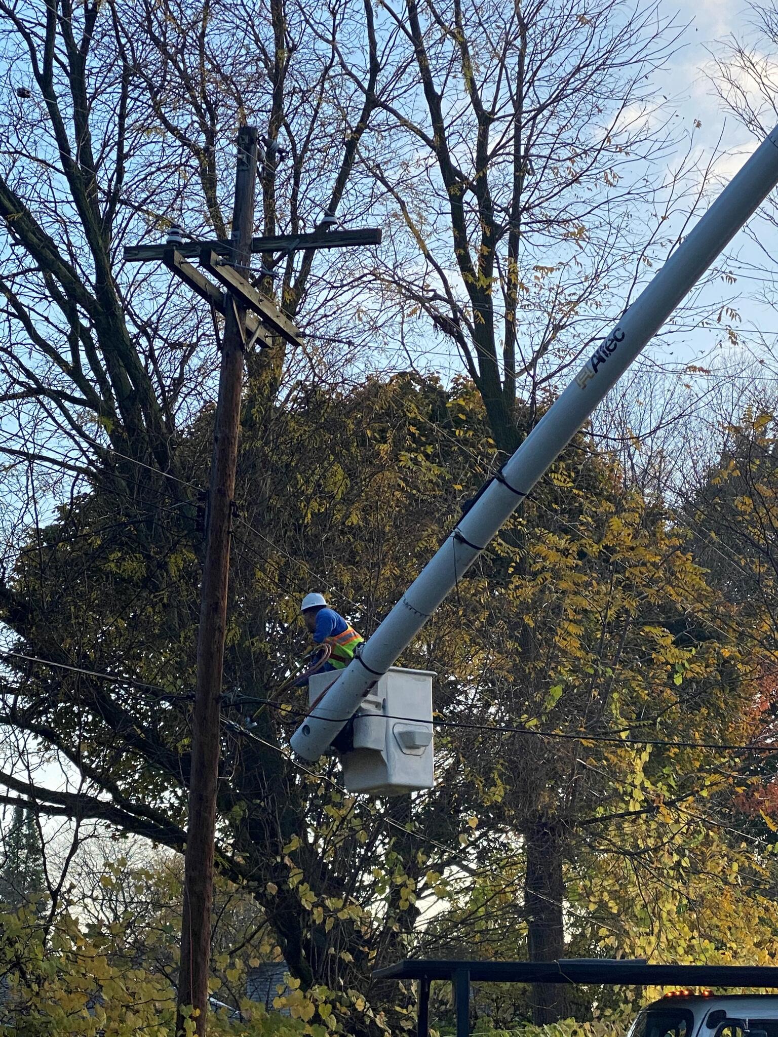 We're trimming trees in your area to improve your electric reliability