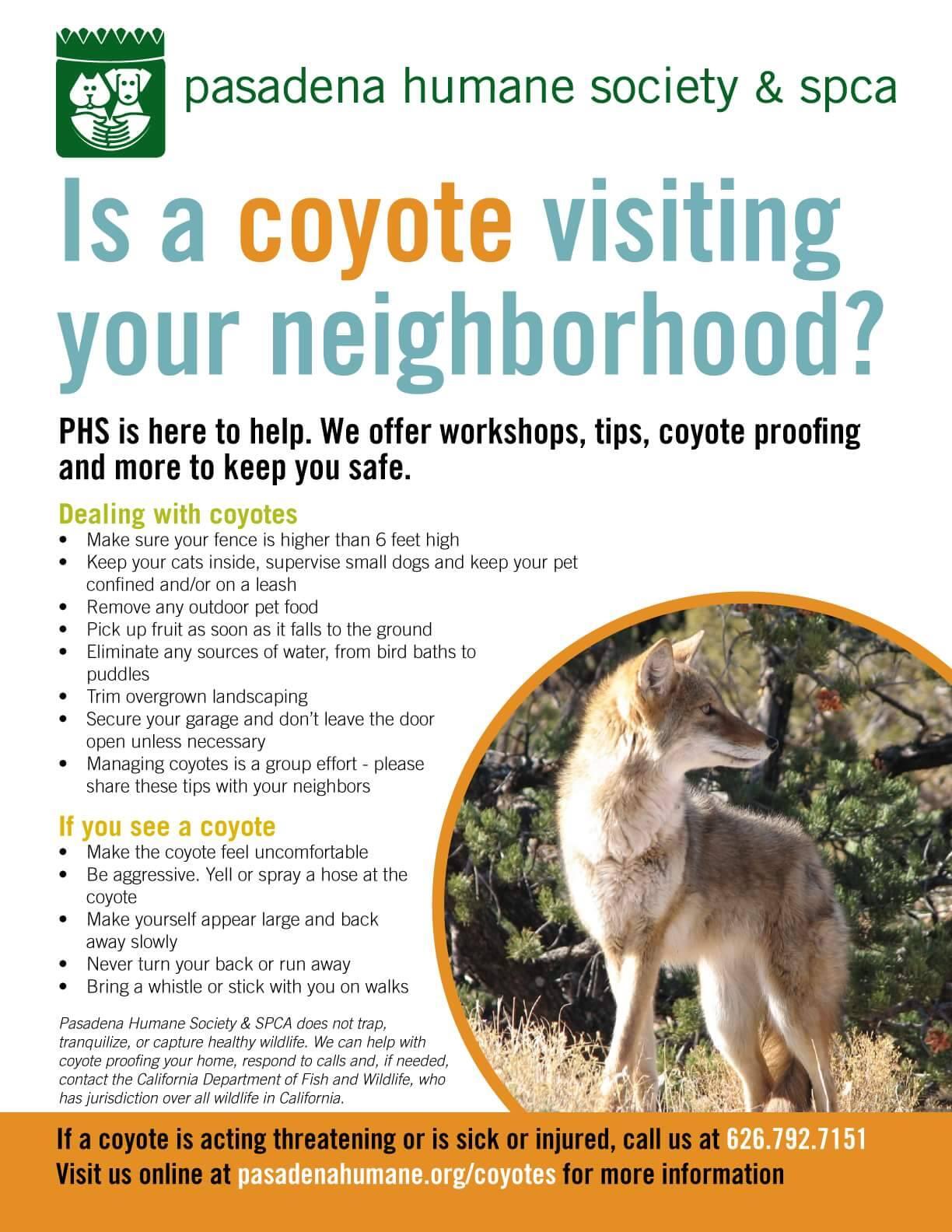 Dealing with Coyotes in Our Neighborhoods (Los Angeles County Sheriff ...