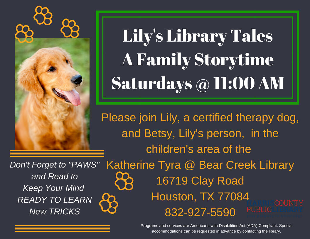 Lilys Library Tales Saturdays At 11 At The Katherine Tyra - 