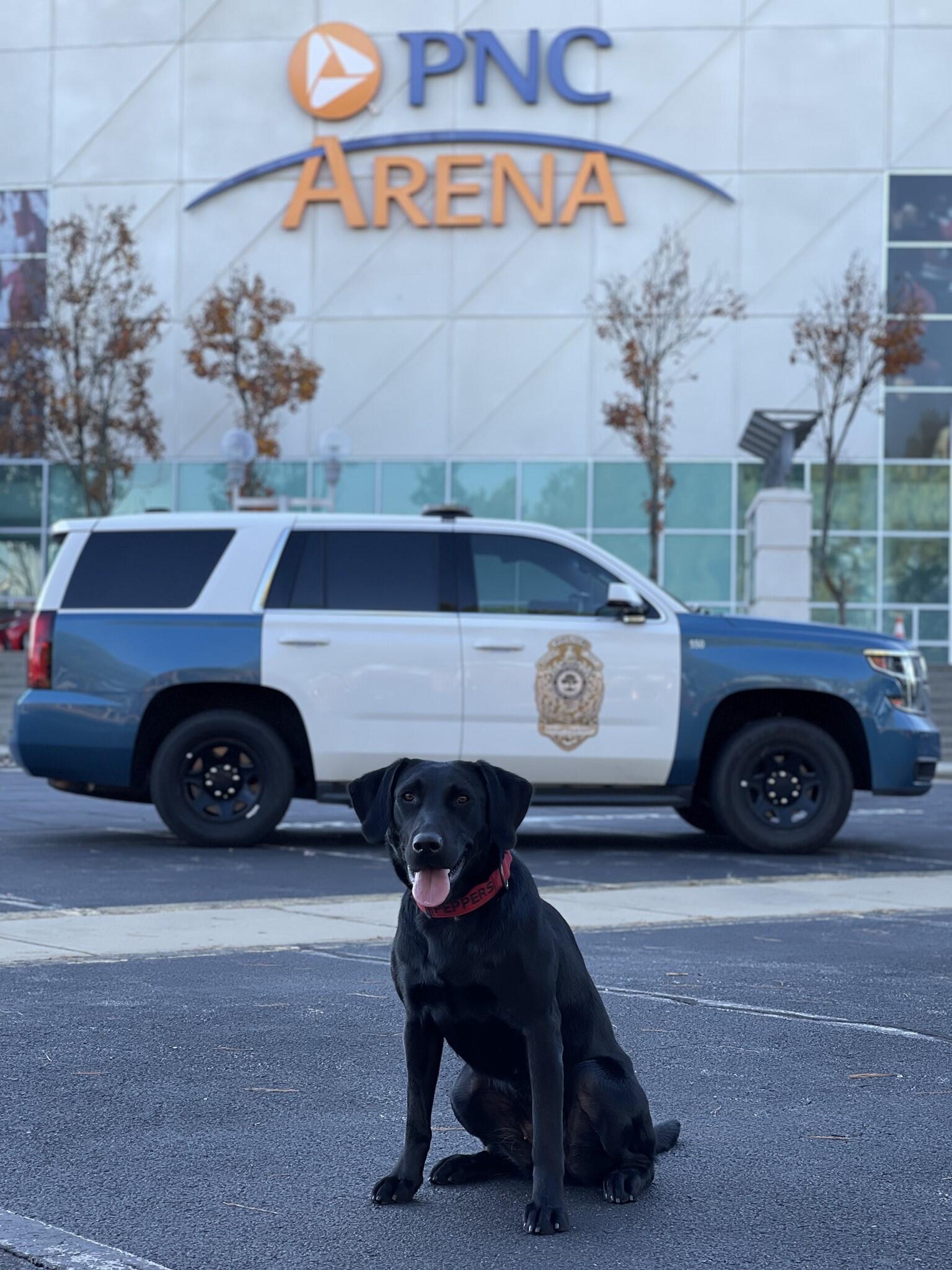 K9 Peppers to Participate in the United States Police Canine