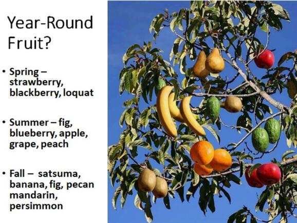 Jun 15 Want Year Round Fruit In Your Backyard Join Our June 15