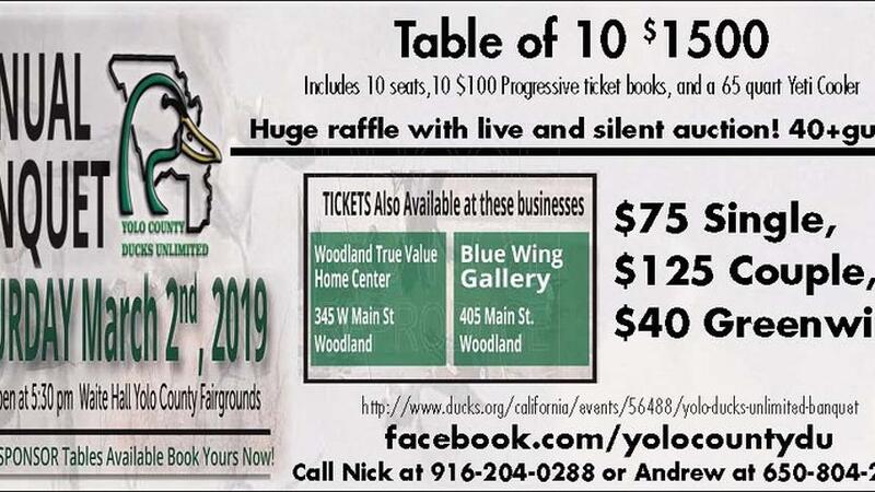 ducks unlimited yeti 65