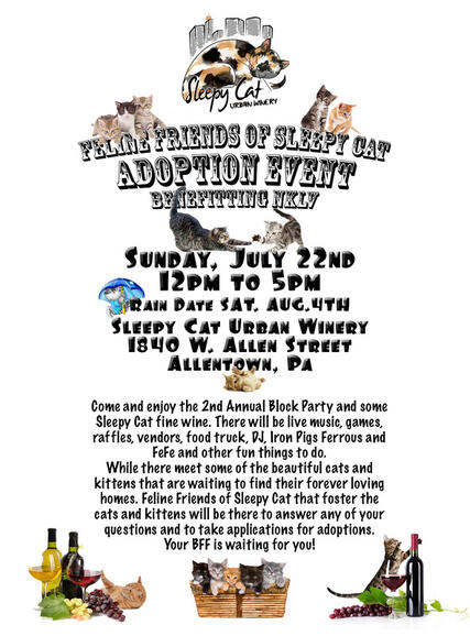 Cat Adoption Allentown Pa