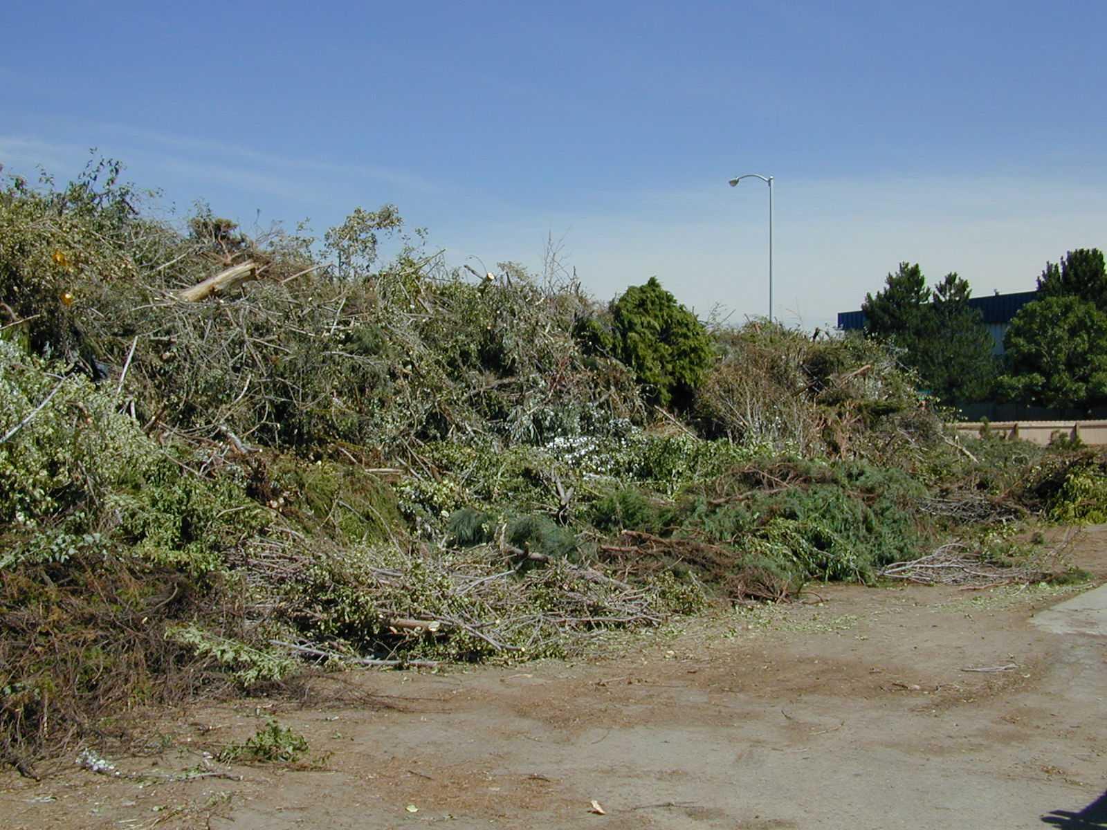 Tree Branch Dropoff Opening Early Today at 12 p.m. (City of Broomfield