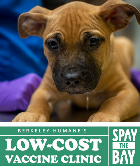 low cost wellness clinic