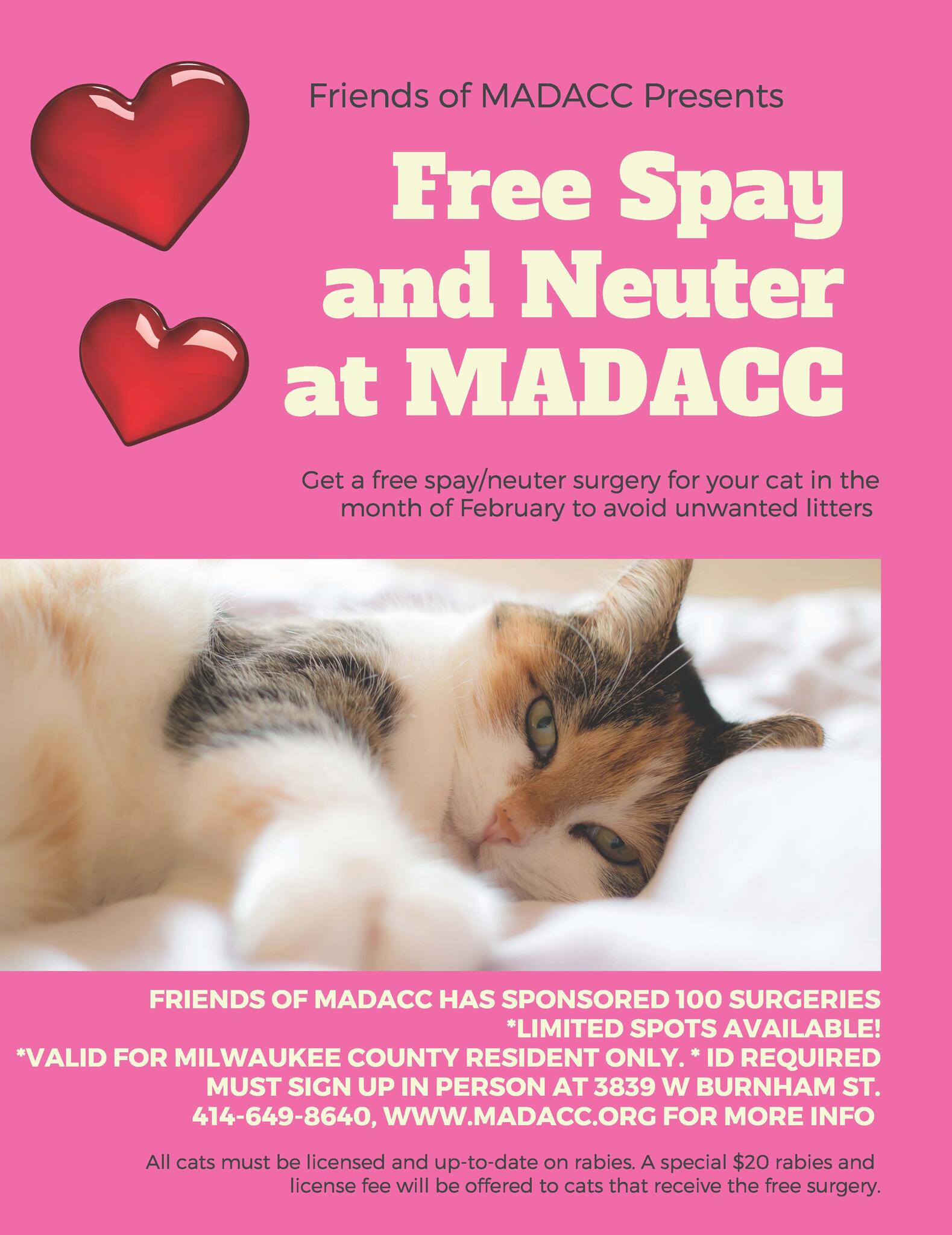 free spay or neuter your cat