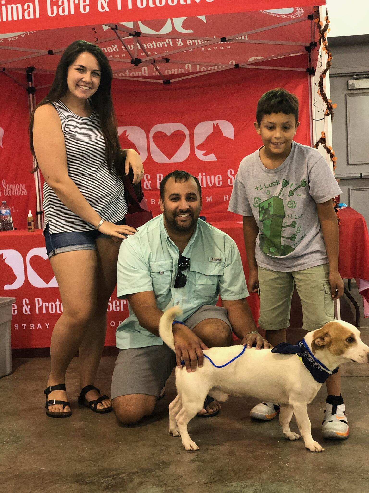 $20 Pet Adoptions For January 2020 (City of Jacksonville ...