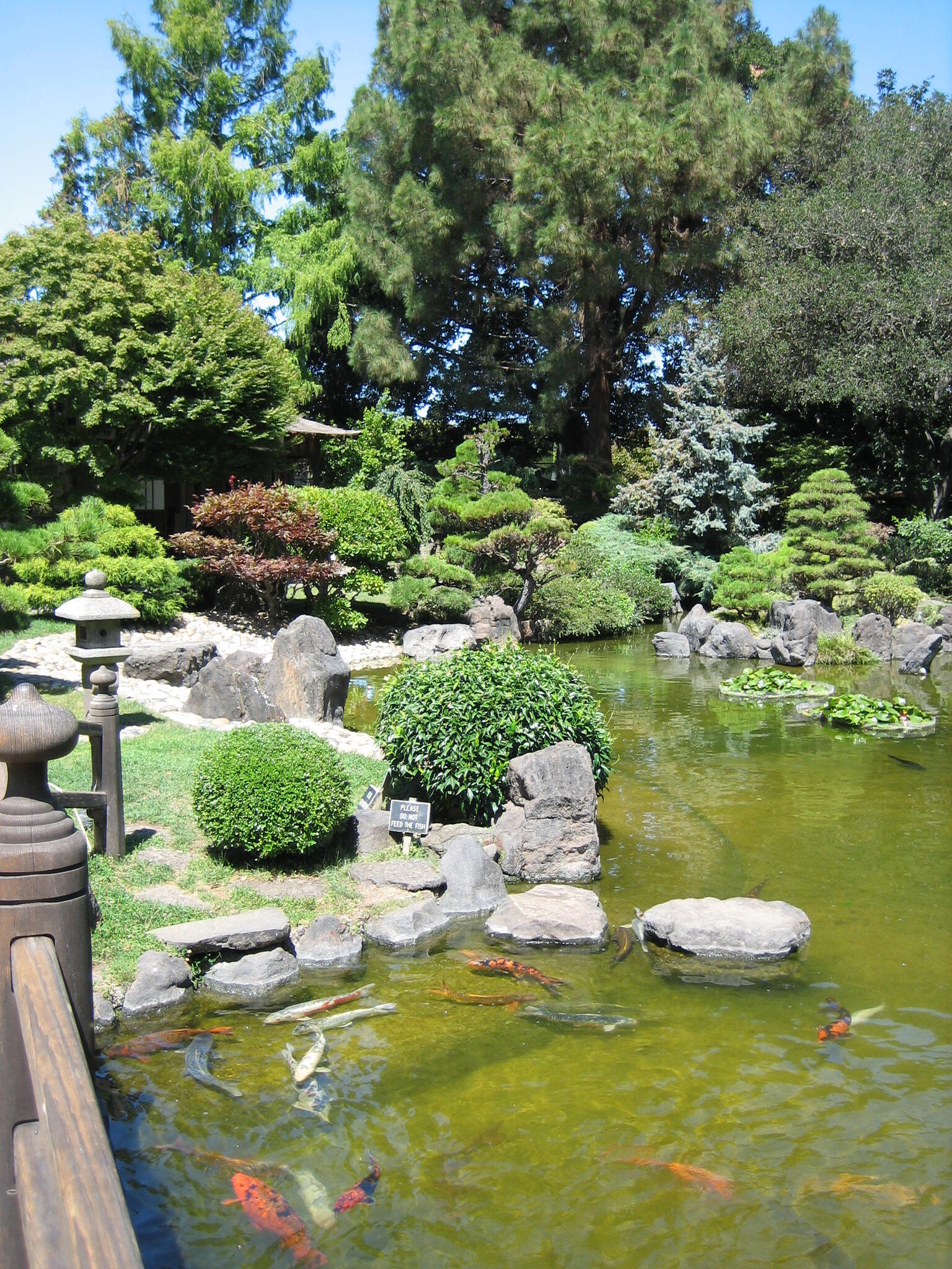 Temporary Closure Of Central Park S Japanese Garden For Repairs