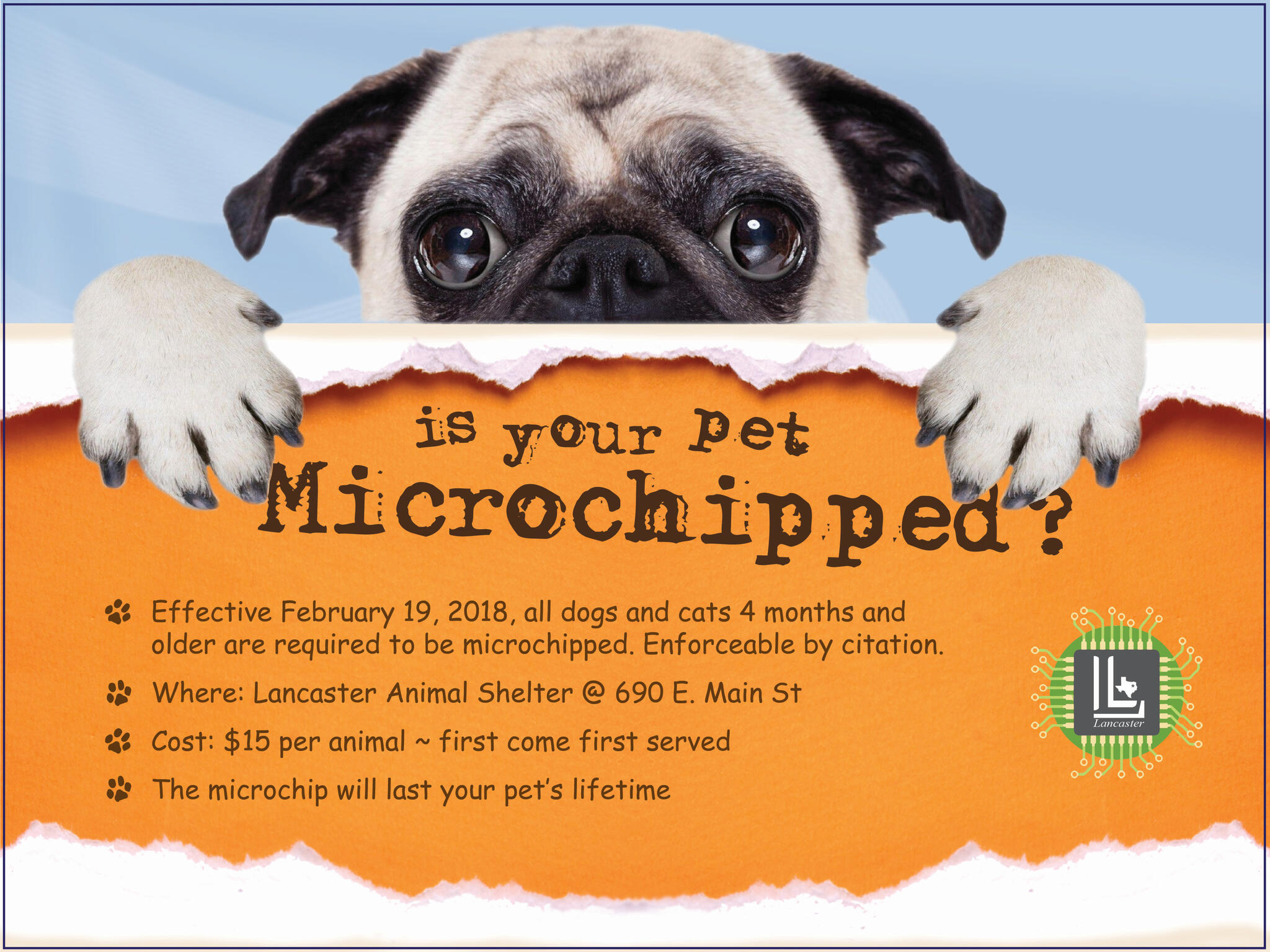 petnet microchip
