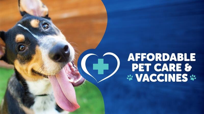 carolinavaluepetcare