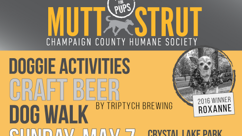 champaign humane society dogs